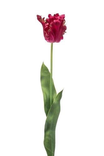 Artplants kunstblume - artplants,