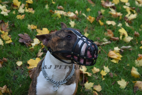 Licht leder hundemaulkorb für - licht,