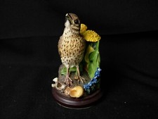 Unsere schöne Vogelwelt