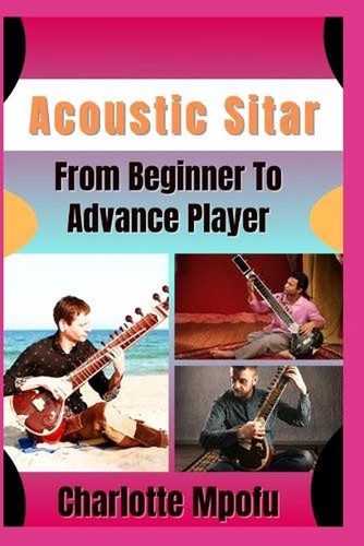 Acoustic sitar from beginner - acoustic,