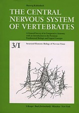 The Central Nervous System of