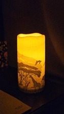 Afrikanische safari - afrikanische,