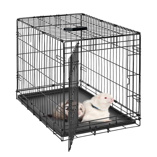 Freilauf auslauf gehege - freilauf,