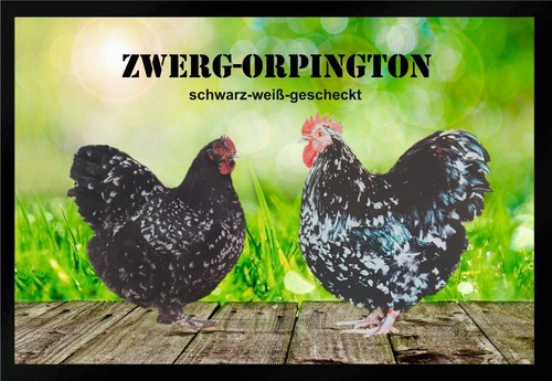 Fußmatte hühner zwerg - fußmatte,