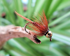Gilchrist Fliegen. 3 x Goldkopfnymphen PHEASANT TAIL BROWN. Auswahl von Größen