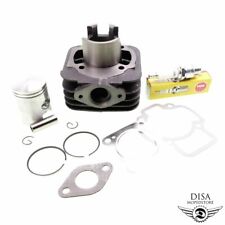 Ersatz Zylinder mit Zündkerze für Piaggio TPH 50 TEC1 Sfera NSL1T Zip RST