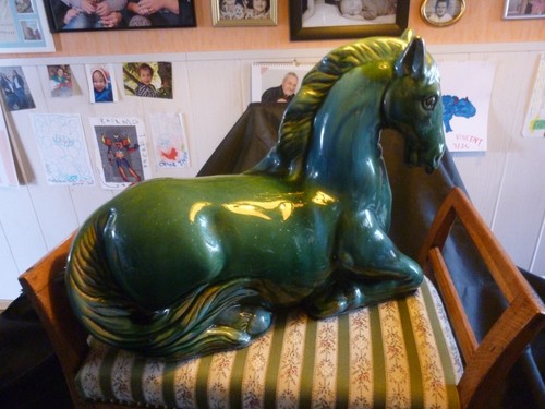 Wunderschönes großes pferd - wunderschönes,