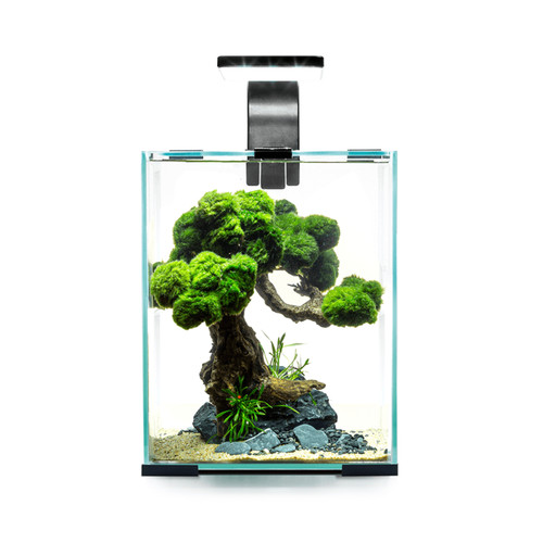 Aquael garnelenbecken set - aquael,