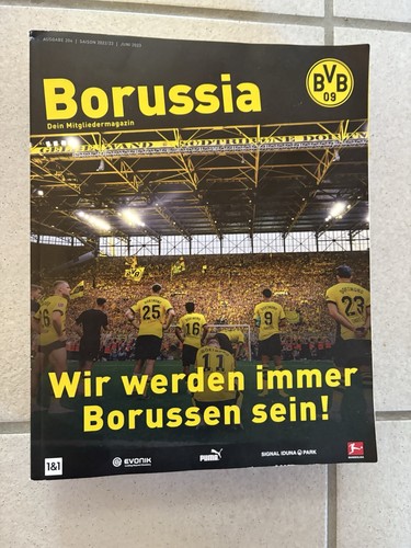 Bvb borussia dortmund - borussia,