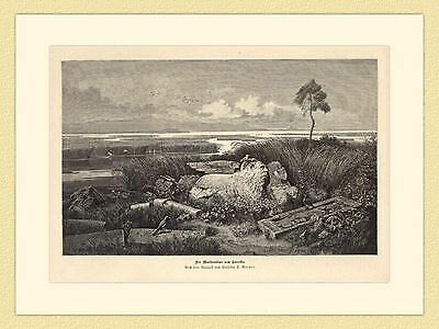 Der markuslöwe von - von, torcello