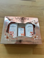 Vandini Energy Wellness