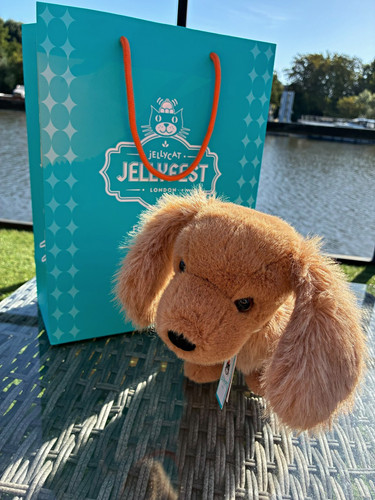 Jellycat dackel pecanine - jellycat,
