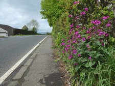 Foto 6x4 Ehrlichkeit in