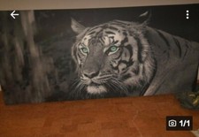 Tiger -  Leinwandbild auf Keilrahmen, Druck, 90 X 200 cm, Abholung in Heilbronn 