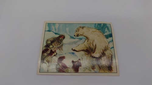 Wagner margarine sammelbild - margarine,