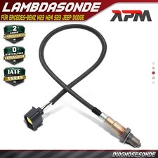 Lambdasonde Diagnosesonde Nach