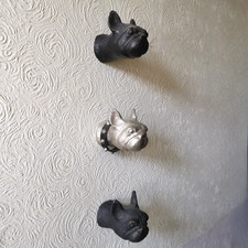 Französische bulldogge - französische,