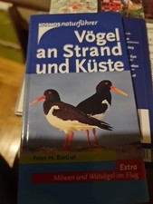 Vögel an Strand und Küste