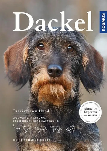 Dackel praxiswissen hund - dackel,
