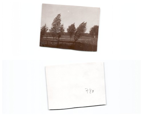 Danzig 1903 - (b77668a740),