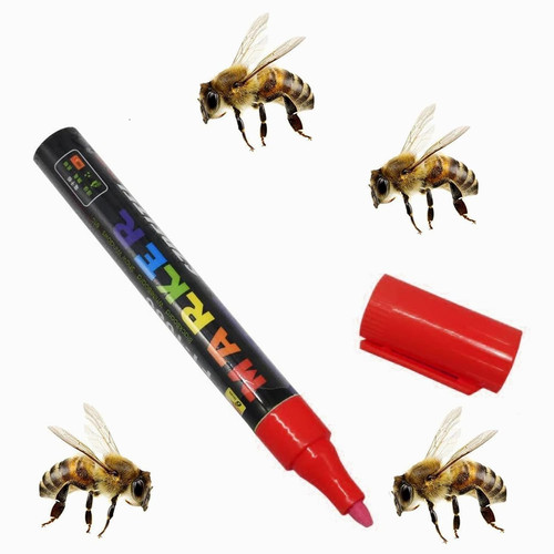 Bienenkönigin