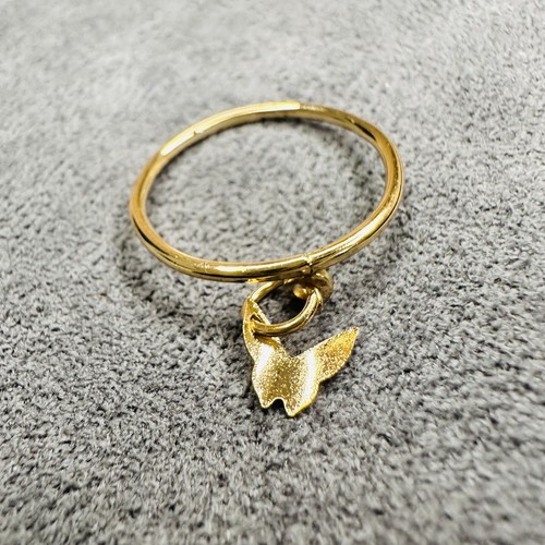 Ring umfang - ring,