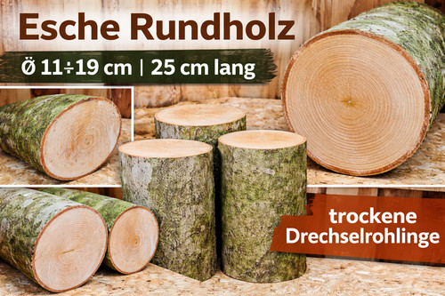 Esche drechselholz stammware - esche,