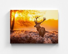 Hirsch Wald Leinwandbild Natur