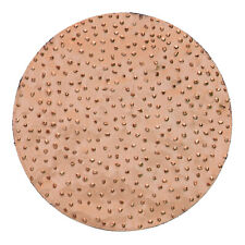 AKTION: 1 Stück Schleifscheibe HMT mittel Ø200mm Hartmetall f. ROKAMAT Chameleon