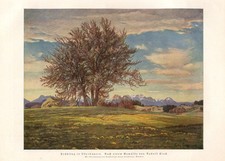 Frühling in Oberbayern Kunstdruck 1925 Rudolf Sieck * Rosenheim † Prien Bayern
