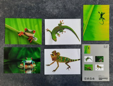 IKEA Karten, Motiv: Echsen und Frösche  13x18 cm 5 Stück f Sammler ohne OV/Umsch