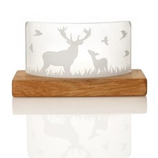 Stag Family - Schottischer