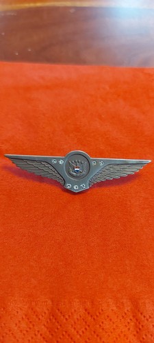 Pin united airlines crew - pin,