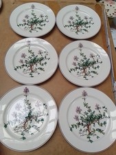 Villeroy Boch Botanica Kuchenteller Ohne Wurzeln Preis Pro Stück Sehr Gut Erhalt