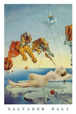 Salvador Dali Poster Dream