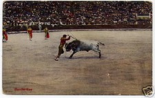 Stier, Stierkampf, Spanien, um 1910/20
