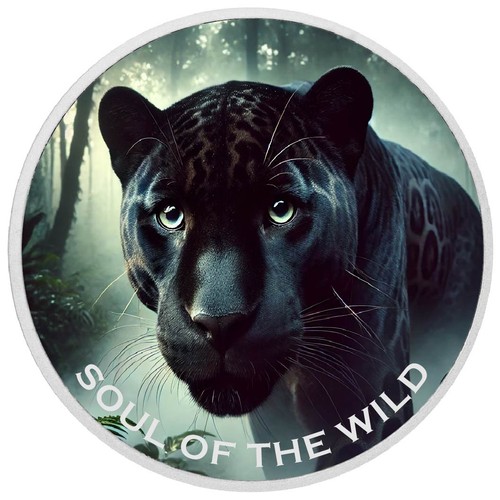 Shadow guardian soul the - soul, of