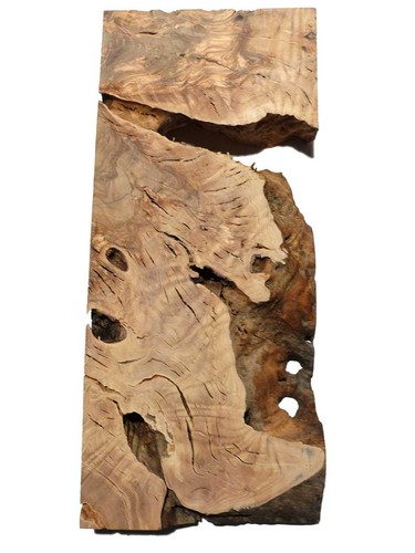 Oliven wurzelholz holz - 1x,