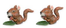 Eichhörnchen nussknacker aus - eichhörnchen,