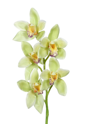 Künstliche cymbidium - künstliche,