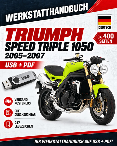 Triumph speed triple - triumph,