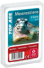 Quartett Kartenspiel Meeresbewohner für Kinder und Familien Spielspaß