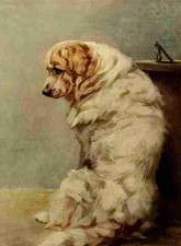 A4 Foto Graf Maud 1864 1943