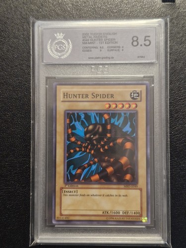 Pgs 8 5 - 8.5, hunter