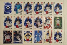 Match Attax Bundesliga 25/26 Team Set Hamburger SV Alle 18 Karten 2025/26