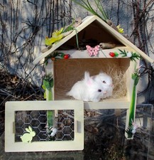 Hase Hasenstall Holz Kaninchen