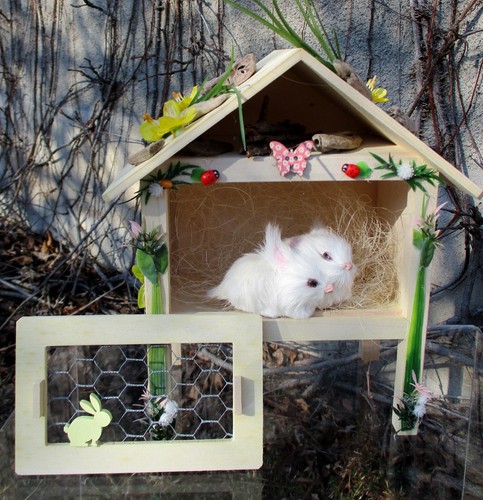 Hase hasenstall holz kaninchen - hase,
