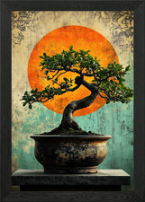 Bonsai baum mit - bonsai,