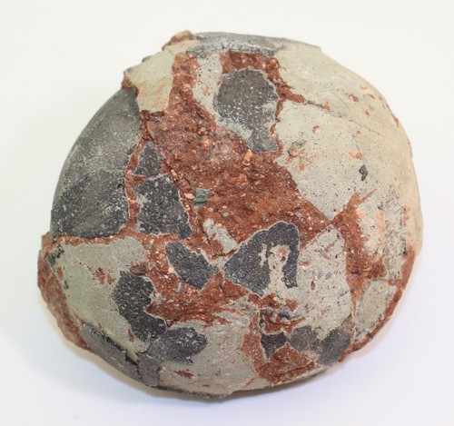 Saurier saurolophus sp - saurolophus,