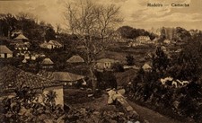 Ak Camacha Insel Madeira Portugal, Gesamtansicht - 4921887